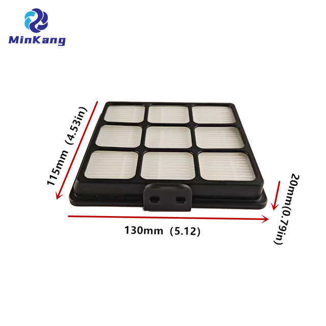 Filtre HFSFA Outlet HEPA pour S · Force Gorenje Air Dispuumrs